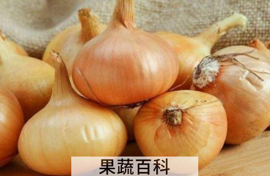 黄洋葱的功效与作用