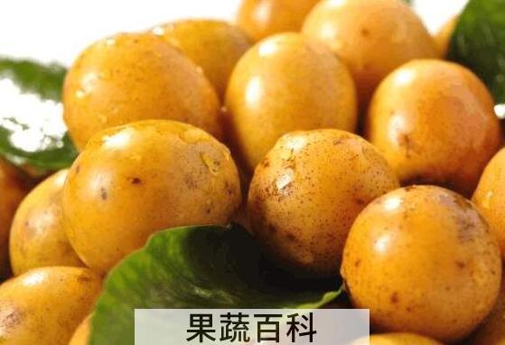 南酸枣的功效与作用