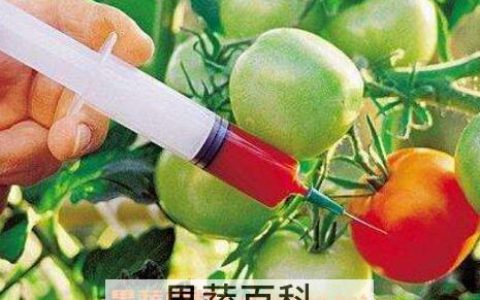 转基因食品的危害有哪些