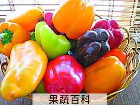 转基因食品的危害有哪些