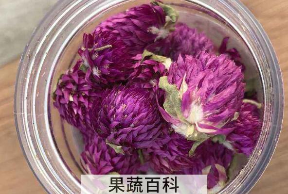 千日红怎么泡茶 千日红千日红花茶的冲泡方法