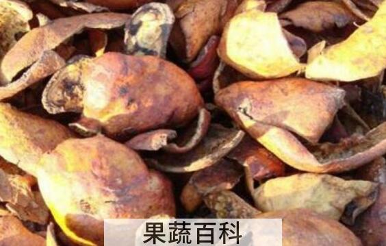 炒石榴皮的功效与作用
