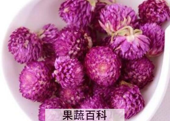 千日红花茶的功效与作用及禁忌