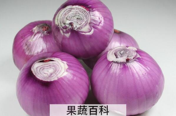 紫洋葱的功效与作用 吃紫洋葱的好处