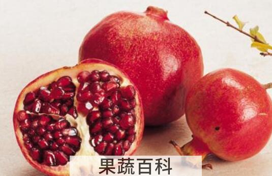 酸石榴的吃法及好处