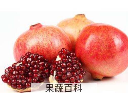 甜石榴与酸石榴的功效 甜石榴和酸石榴哪个好吃