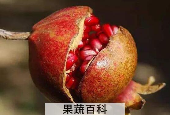 甜石榴与酸石榴的功效 甜石榴和酸石榴哪个好吃