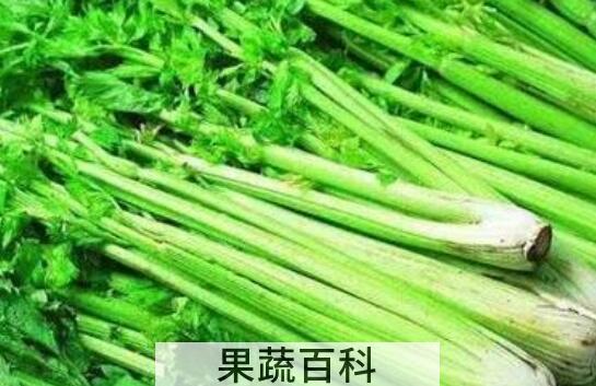 芹菜素的功效与作用