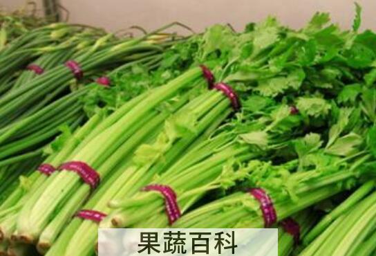 芹菜素的功效与作用