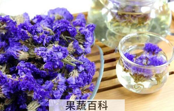 勿忘我花茶的功效与作用及禁忌