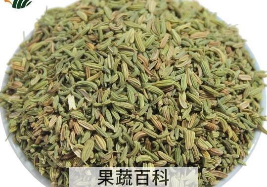 小茴香籽的禁忌及副作用