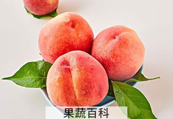 桃果是什么 桃果的功效与作用
