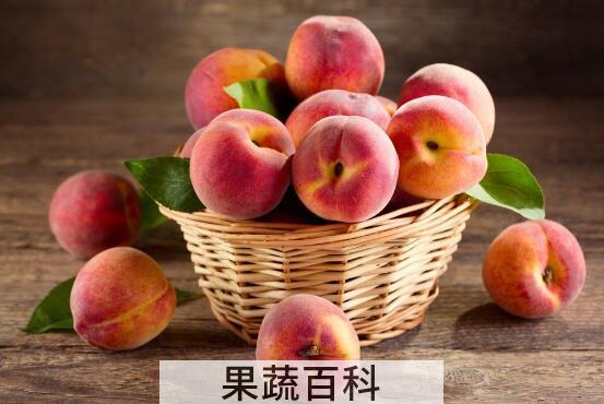 桃果是什么 桃果的功效与作用
