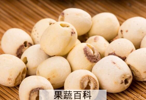 白莲的功效与作用 白莲的药用价值