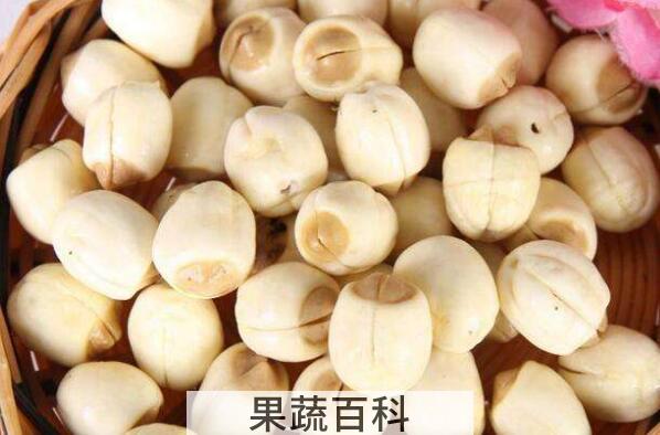 白莲的功效与作用 白莲的药用价值