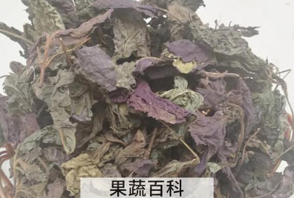 紫苏晒干后有什么作用