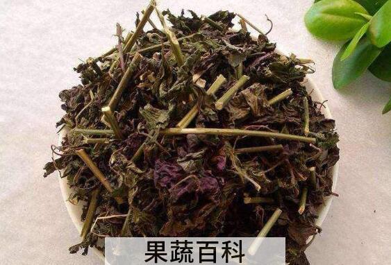 紫苏晒干后有什么作用