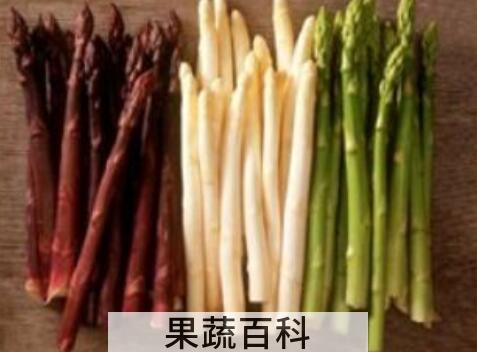 紫芦笋的功效与作用及禁忌