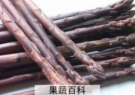 紫芦笋的功效与作用及禁忌