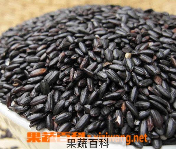 果蔬百科黑米的功效与作用 黑米怎么吃