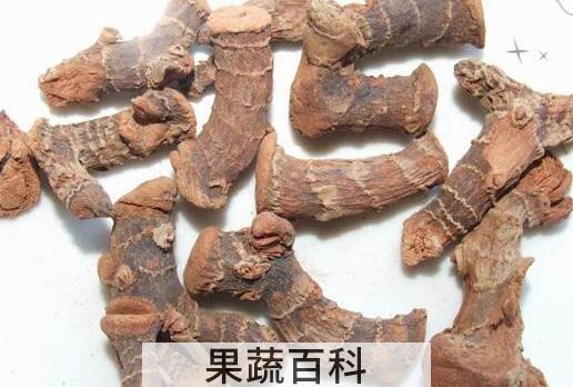 高良姜素的功效与作用