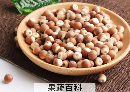 鸡头子是什么 鸡头子的功效与作用