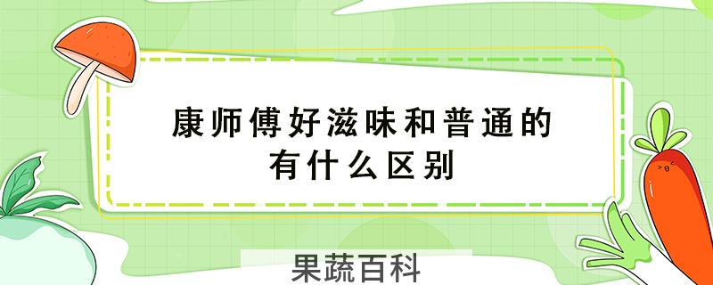 康师傅好滋味和普通的有什么区别