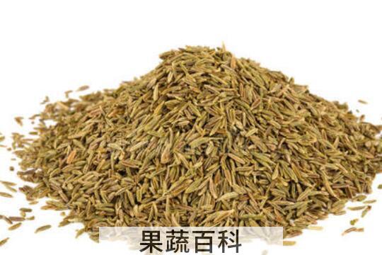 小茴香籽怎么泡水喝 小茴香籽怎么泡水