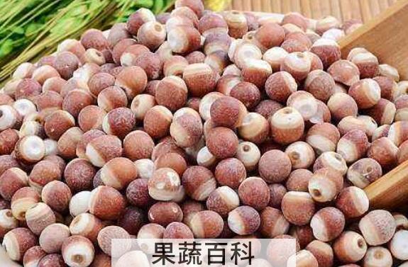 鸡头子怎么吃 鸡头子的吃法及做法大全