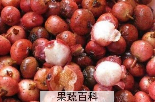 野地瓜怎么吃 野地瓜食用方法