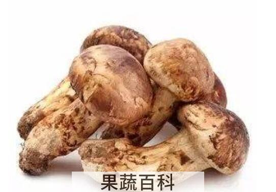 花松茸和松茸的区别