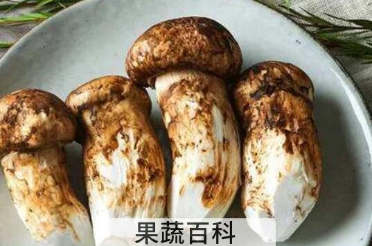 花松茸和松茸的区别