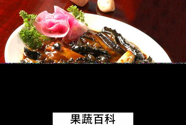 果蔬百科海参的家常做法