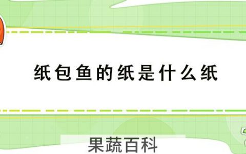 纸包鱼的纸是什么纸