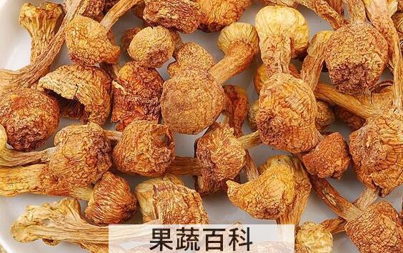 干姬松茸的功效和吃法