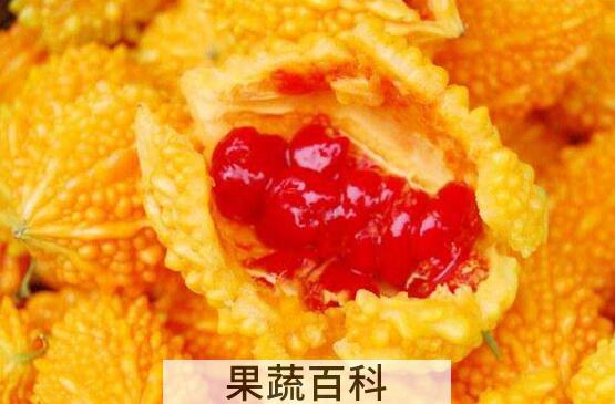 金铃子的功效与作用 金铃子是什么