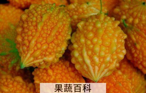 金铃子的功效与作用 金铃子是什么