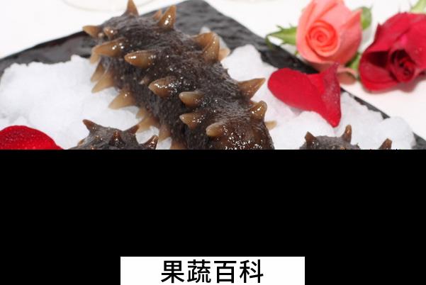 果蔬百科海参的营养价值与功效
