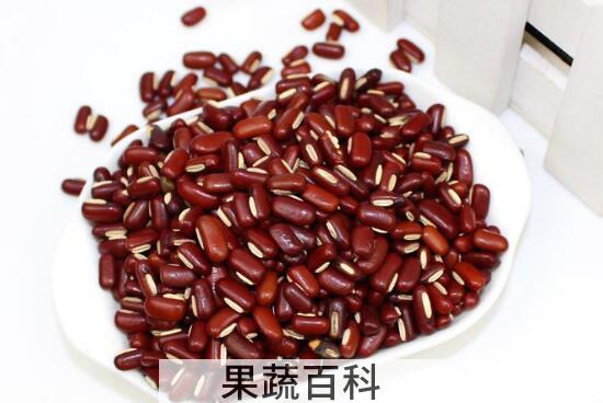 赤小豆和红豆的区别 赤小豆的功效与作用
