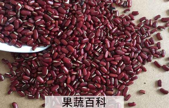 赤小豆和红豆的区别 赤小豆的功效与作用