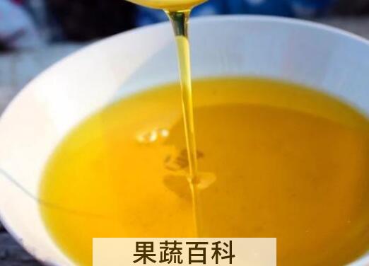绿茶籽油的功效与作用