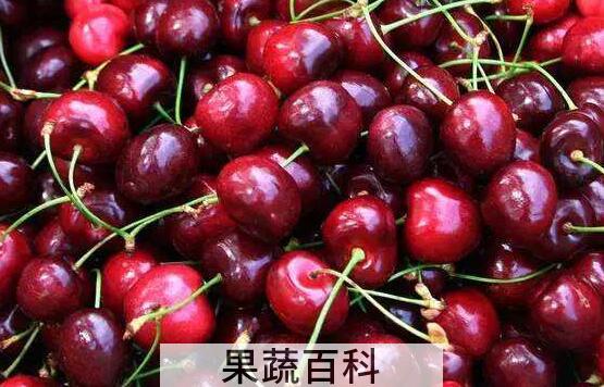 黑樱桃的功效与作用 吃黑樱桃的好处