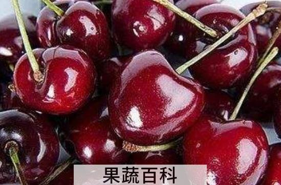 黑樱桃和樱桃的区别