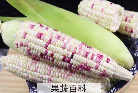 糯玉米怎么煮好吃 糯玉米做成什么好吃