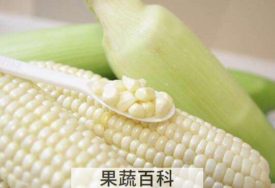 糯玉米怎么煮好吃 糯玉米做成什么好吃