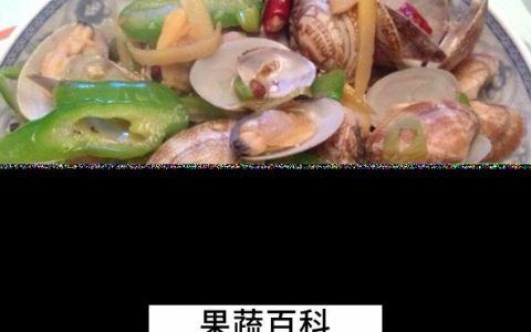 花蛤的营养价值与功效