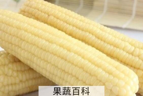 粘玉米的功效与作用 吃粘玉米的好处