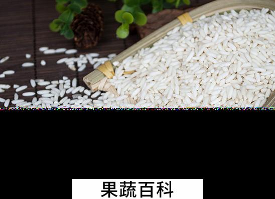 果蔬百科吃糯米会发胖吗