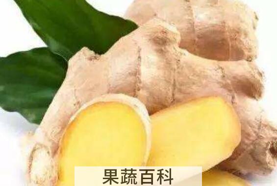 姜对头发有什么作用 如何用姜洗头