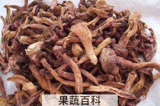 松蘑的功效与作用 松蘑的食用方法与禁忌